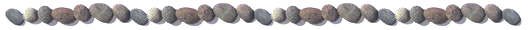 Image6.gif (8080 octets)