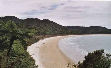 Abel Tasman National Park (Awaroa Beach)