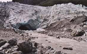 Fox glacier