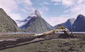 Milford Sound