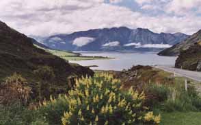 Lake Wanaka