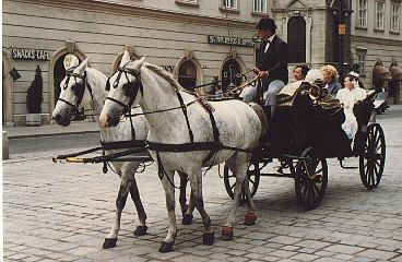 Promenade viennoise
